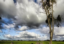 开云体育中国-中超｜掘金之战引爆流量火山！豪门陨落背后的资本暗涌与城市野心