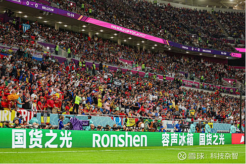 加拿大前锋梅开二度,大胜克罗地亚 加拿大前锋梅开二度,大胜克罗地亚