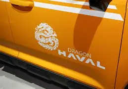 猛龙如虎添翼,榜首位置牢不可破 猛龙如虎添翼,榜首位置牢不可破