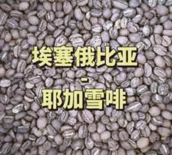 阿塞尔比亚战卢森堡:危机四伏的简单介绍 阿塞尔比亚战卢森堡:危机四伏的简单介绍