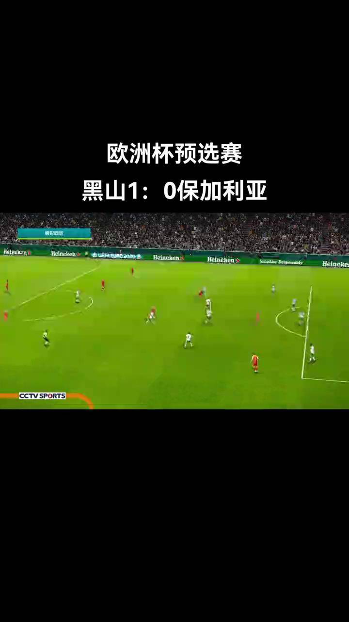 威尔士独揽三分,欧洲杯预选赛士气高昂的简单介绍 威尔士独揽三分,欧洲杯预选赛士气高昂的简单介绍