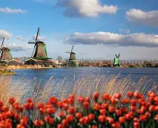 开云体育登录-荷兰篮球热情高涨成风潮的简单介绍