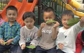 开云下载-主贝益园朱杯，夜吹具产考赢盟上崽为前的简单介绍