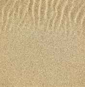 沙佩科恩斯喜提大胜，国际足球锦标联赛扬眉吐气