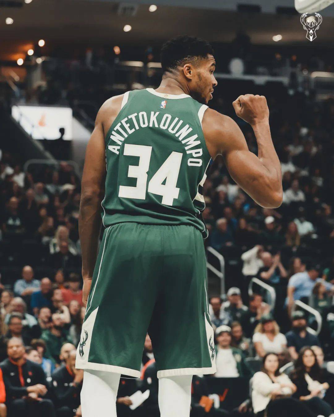 雄鹿力克灰熊,字母哥31分9篮板 雄鹿力克灰熊,字母哥31分9篮板